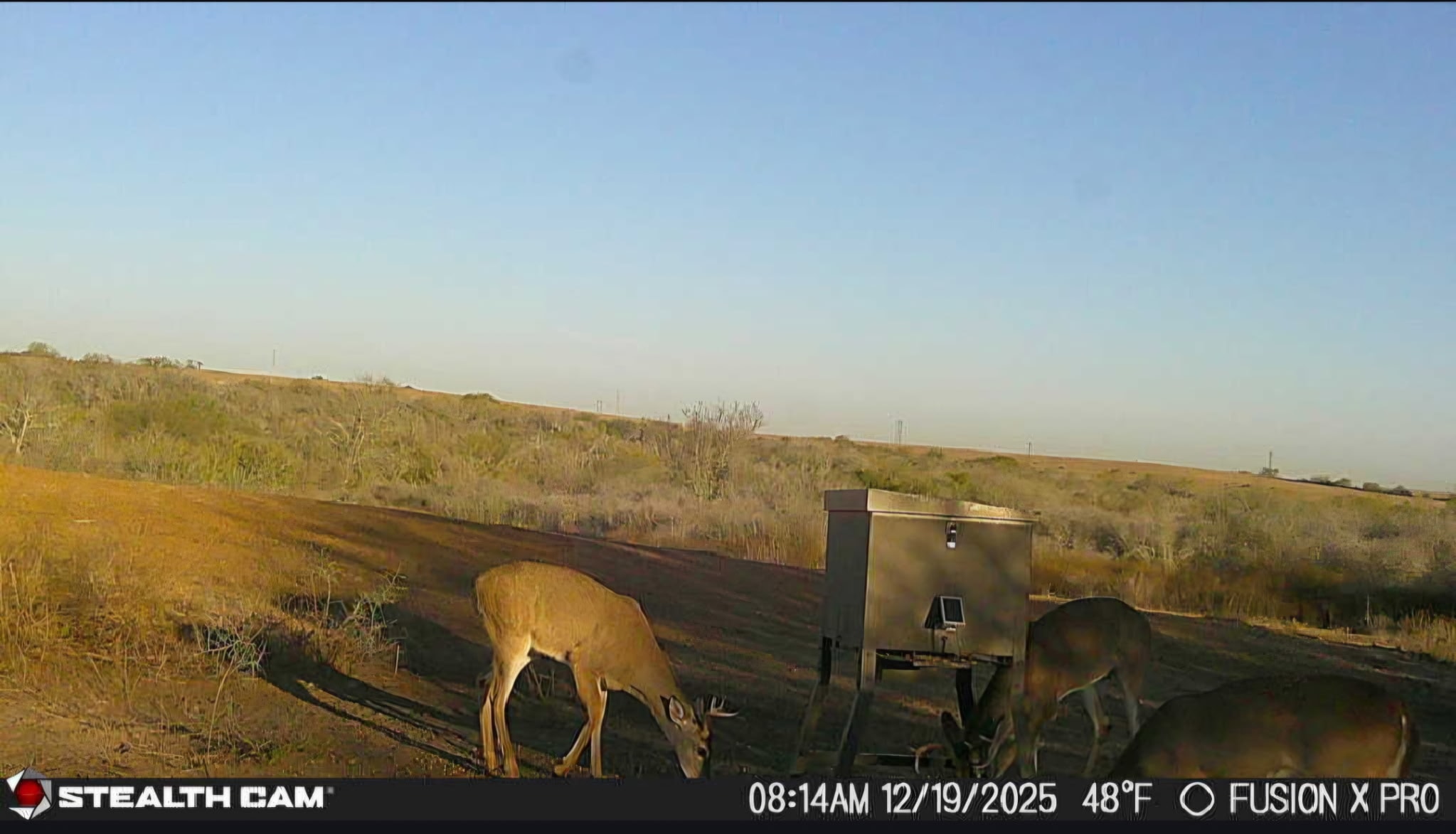 56+ Acre Hunting Property — photo 1